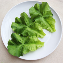 Simulation lettuce leaf vegetable model props waterproof green vegetable leaf food food ornaments sample farmhouse decoration
