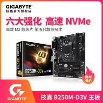 Gigabyte game machine B250 HD3 B250M-D2V D3V D3H DS3H desktop computer motherboard