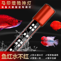 Ma Yin magic lamp golden red dragon fish lamp special lamp ornamental fish color aquarium lighting LED fish tank lamp