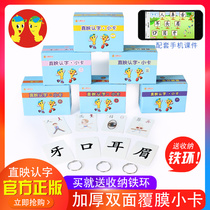 Direct genuine literacy textbook card literacy full set of childrens kindergarten cognitive early education baby 3-6 years old Preschool