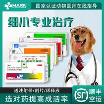 Dogs small canines Fever Enteritis Medicine Dogs Lathin blood vomiting Cholera Virus Interferon Small Treatment Package Six Days