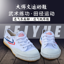 Dabowen martial arts shoes childrens training sports shoes track and field shoes male martial arts leap training martial arts shoes tai chi shoes training shoes