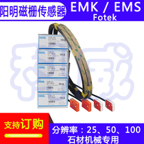 Yangming magnetic grid ruler sensor EMK EMS Resolution 25 50 100 stone infrared magnetic grid reading head