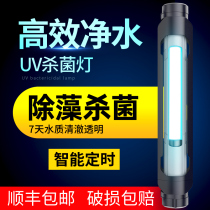 Old fisherman Aurora fish tank uv germicidal lamp ultraviolet fish pond algae removal water purification disinfection lamp aquarium sterilization lamp