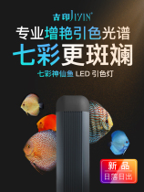 Jiyin blade colorful fairy fish Luo Han fish special led fish tank light waterproof Tianzi blue Aquarium diving light
