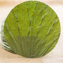 Weishan Lake 2021 new whole lotus leaf piece round 28CM lotus leaf rice lotus leaf tea steamed rice glutinous rice chicken 100 pieces