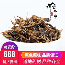 Chinese herbal medicine scorpion whole insect scorpion authentic water scorpion dry goods can be directly beaten 500g new goods