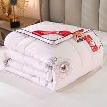 (Support 30 days without reason to return) Silk quilt spring and autumn warm double single winter quilt core mulberry silk
