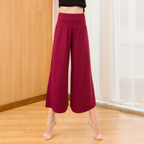 Loose high waist classical dance dance wide leg pants Chinese modern practice suit dress female black modal elegant set