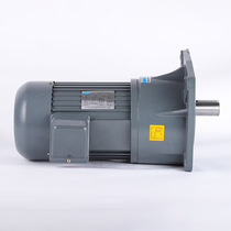 Dog Toyo Motor 3000W three-phase induction motor Small King Kong shaft diameter 40 32mm Vertical Horizontal