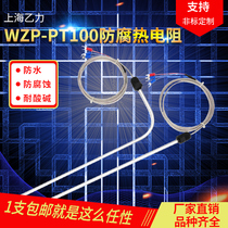 Acid and alkali resistant anti-corrosion Teflon PT100 thermocouple resistance temperature sensor probe for electroplating plant