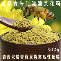Qinghai rape pollen source fresh bee pollen pure natural Men edible prostate Buster unbroken 500g