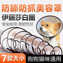Pet anti-bite Elizabeth collar dog cat collar dog supplies headgear sterilization anti-licking anti-scratch cat collar