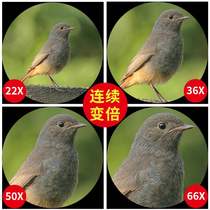 U.S. Startron Monocular Outdoor Remote Bird Watching Mirror Telescope High Definition High Power Mobile Phone Looking Glasses Non-night Vision