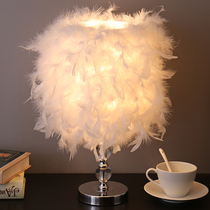 Feather lamp bedroom ins girl bedside lamp creative simple modern night light wedding room warm decorative lamp