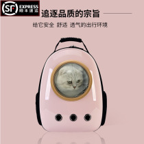 Summer pet space capsule breathable cat backpack shoulder cat bag out portable large-capacity handbag cat bag