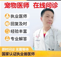 Pet doctor online consultation Veterinarian online consultation Dog 24-hour consultation Cat consultation network free follow-up