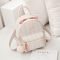 ins super fire shoulder bag female 2021 new summer fashion all-match Korean version of the tide of womens net red backpack travel bag
