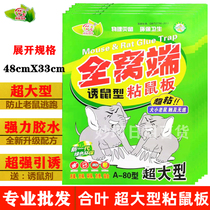 Hinge strong sticky mouse board indoor super large extra large mouse stickers to catch mice and kill mice glue household whole nest end