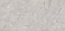 Dongpeng ceramic tile platinum sub-gray YF272654
