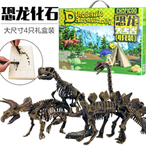 Dinosaur fossil archaeological excavation simulation Tyrannosaurus Rex bone skeleton handmade diy childrens toy