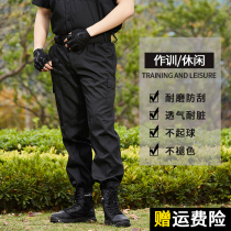 Spring and autumn security work training pants black male abrasion resistant diagonal grain thickened summer thin special soldier tactical special training workwear pants