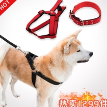 Pet dog collar small medium and large dog horse dog collar teddy anti-bite collar headgear golden hair traction rope chest strap