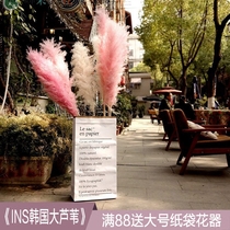 Net red pink Reed dried flower bouquet pun Reed flower Flower natural Reed decorative flower arrangement dried flower paper bag ornaments