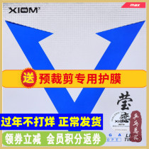 Yinglian XIOM Pride Blue V Upgrade DF Table Tennis Rubber Racket Set Glue Weijia Europe 79-008