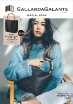 Japanese BOOK magazine Appendix bag lychee pattern pubbed bamboo Hand bag lunch bag storage bag