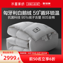 Waterstar home spun down quilted by Hungary 95 white goose down air conditioning Thickened Warm Quilt quilted by coveted goose down by winter quilt