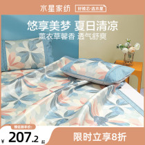 Waterstar Home Spinning Ice Silk Mats Two-Three Sets Of Foldable Mat Students Dorm Bed Pint Bed Pint Tiger Year New Product
