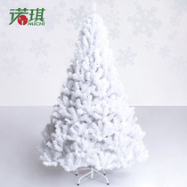 Noqi luxury encrypted White Christmas tree 1 2 meters 1 5 meters 1 8 meters home small Christmas naked tree