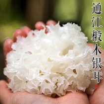 Xus alcohol products Jade Dew soup white fungus white fungus non-ancient white fungus dry goods ugly ears