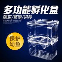 Incubator aquarium isolation box breeding box feeding box Fry breeding aquarium special Yageli Aquatic Incubator