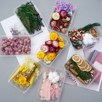 Dried flower material DIY material package mixed flower box photo frame immortal flower fan home decoration handmade natural dried fruit