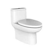 Toilet bowl HCO175PT of the constant cleaning wave type water tank