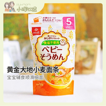 Crushed noodles for little babies~Japan hakubaku Golden Earth Unsalted wheat noodles