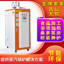 Commercial biomass steam generator automatic industrial electric heating small gas boiler heating Bath Brewing