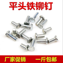  Galvanized flat head solid iron rivets Flat head percussion rivets Natural color iron rivets 3M4M5M6M8-M30