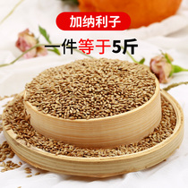 Imported Ghanaizi Parrot bird edible tip millet white tip millet grass seed Canary hibiscus bird food feed