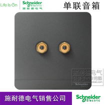 Schneider switch socket is still dark gray two-head audio single speaker audio socket panel