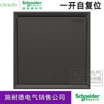 Schneider Haolang dark gray black access control switch panel Automatic Door Door Door Door Door self-reset normally open 86 type