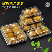 Transparent Kiwi box 3 4 6 8 kiwi fruit box 6 PET plastic Fig Lemon box