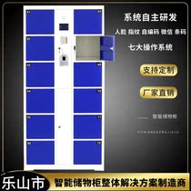 Leshan supermarket electronic storage bag Intelligent fingerprint bar code face password storage examination room WeChat credit card storage locker