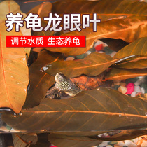 Pet Shangtian turtle supplies Climb pet cook-free Longan leaf turtle Sun table escape house Climb table turtle tank landscaping anti-corrosion skin