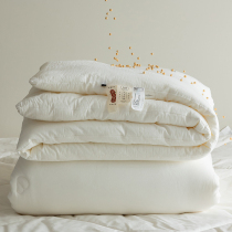 Class A antibacterial soy fiber winter quilts warm all cotton quilts Thickened Single Double Season Universal Spring Autumn Quilt Core