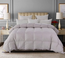 AIRLAND Home Textile Bonnie Mixed white goose down quilt core 203*230 2cm 1 0kg