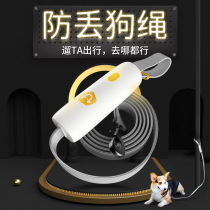 Pets explosion-proof flush earned dedog traction rope kitty ropes Walk Cat Large Small And Medium Dog Leads Dog Rope Mesh Red Teddy