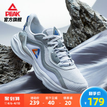 Pike mens shoes 2022 Summer new running shoes Mens breathable tennis shoes Mens shock absorbing net face Tourism sneakers